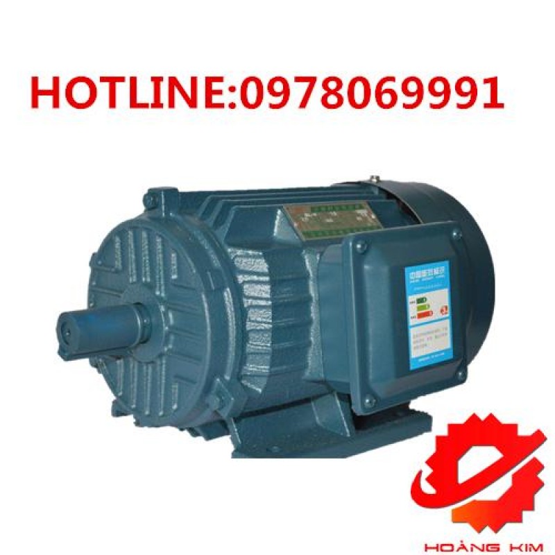 Động cơ điện không đồng bộ 3 pha || HOÀNG KIM COMPANY 